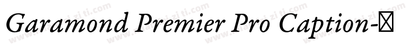 Garamond Premier Pro Caption字体转换